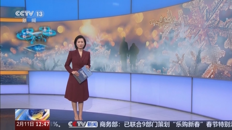 《法治在线》 20260211