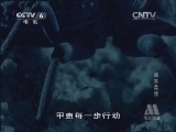 动物世界 《世界纪录电影长廊》 20131217 动物世界：蝎亦柔情