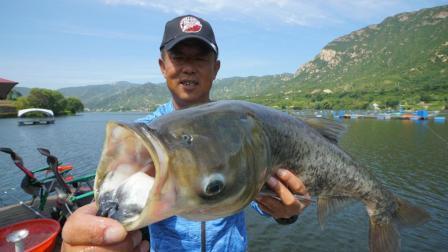 游钓中国 第三季 第33集 首度赴京邂逅大美河山 混合双钓底浮抽来巨鲢