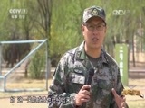 谁是终极英雄 《谁是终极英雄》 20170423 犬王争霸（上集）