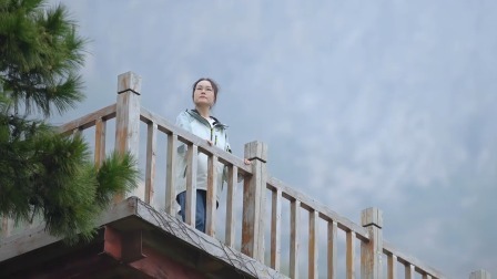 山东海岛故事 灵山岛：以绿为名