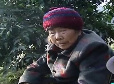 寻情记 湘西死亡魔咒儿女中了八旬老母的蛊