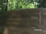 动物世界 《动物世界》 20161109 丛林中的杀手之王