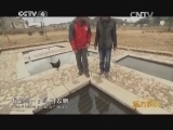 远方的家 江河万里行 第7集 富屯溪边看邵武《远方的家》 20140506