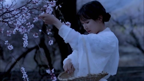 李子柒古香古食 张罗了些桃花味的小甜点