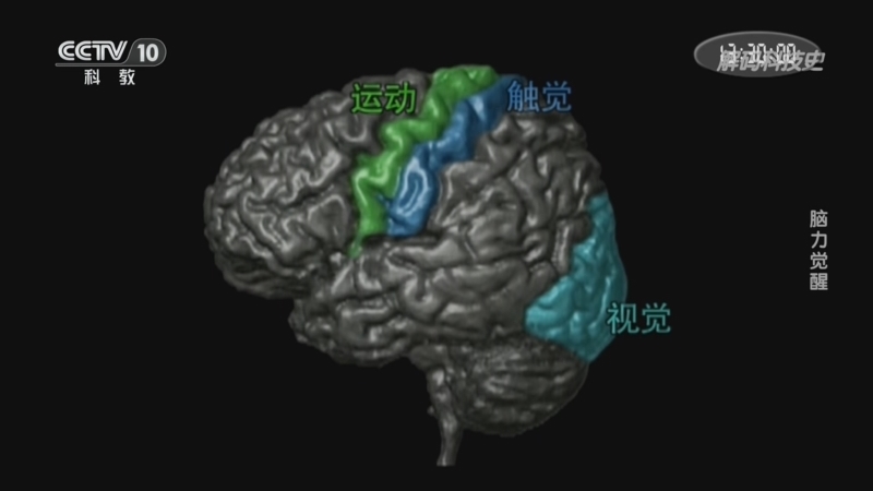 《解码科技史》 20241110 脑力觉醒