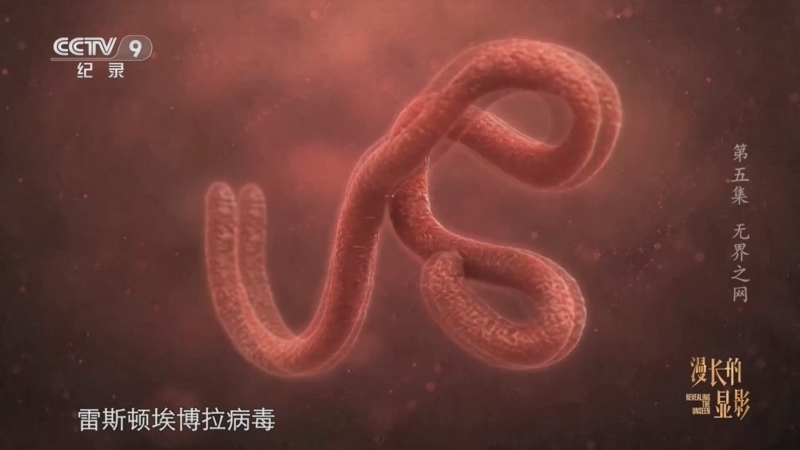 漫长的显影 《漫长的显影》 第5集 无界之网