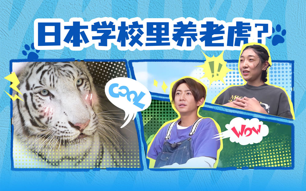 I Love 大家的动物园 安藤樱前往野生海豚族群