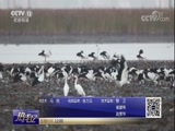 热线12 《热线12》 20180502