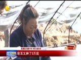 辽宁新闻 《辽宁新闻》 20171016