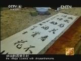 [走遍中国]中国古镇（101）小榄镇：菊城菊艺(20121201)