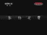 动物世界 《动物世界》 20111214