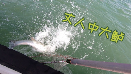 阿杰海钓鲈鱼，今天人品大爆发找到鲈鱼群，两个人开启了爆拉模式