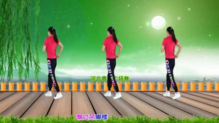 流行DJ广场舞及教学 第三季 动感优美广场舞《花桥流水》新32步教学