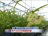 东南晚报 《东南晚报》 20170528