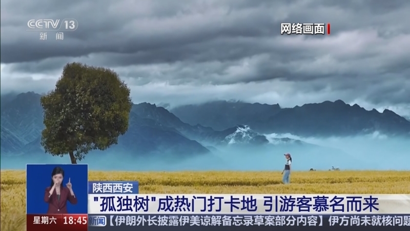 共同关注 《共同关注》 20260613