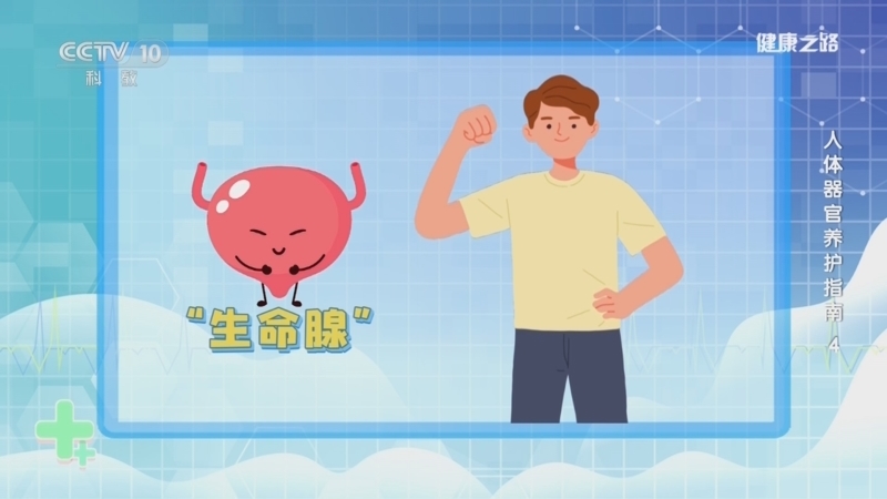 《健康之路》 20260526 人体器官养护指南 4