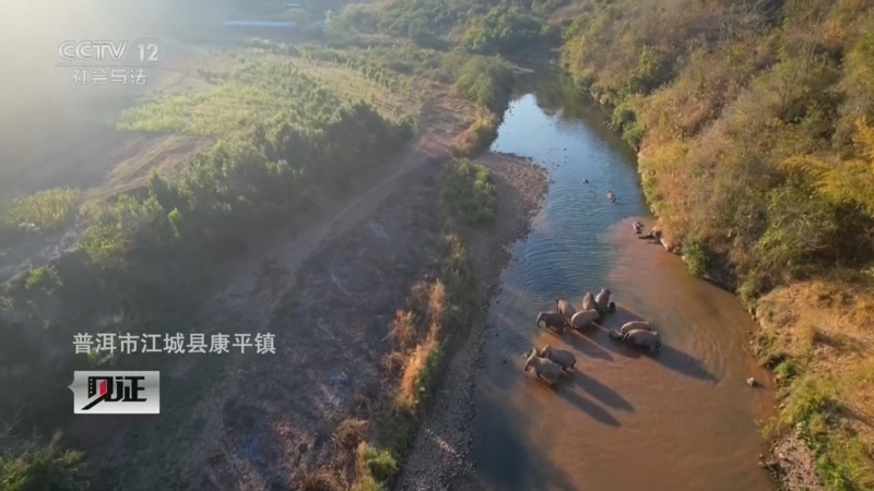 《见证》 20260302 我和我的“象”朋友(下)