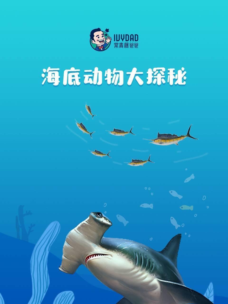 海底动物大探秘