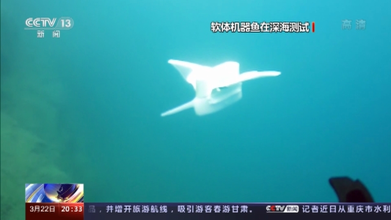 《东方时空》 20210322