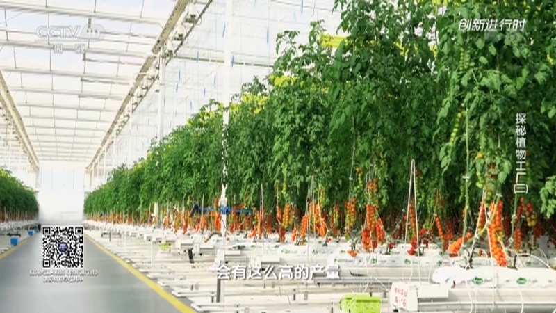 《创新进行时》 20210910 探秘植物工厂（三）
