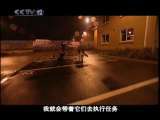 天网 警犬故事