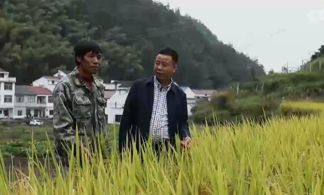 三农群英汇 《三农群英汇》 20201116 我的乡村幸福计划