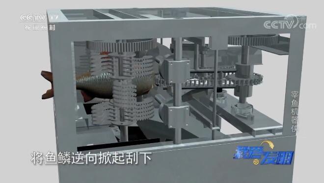 我爱发明 《我爱发明》 20200105 宰鱼机器侠