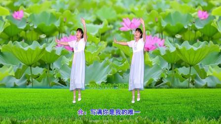 甜蜜情歌广场舞《偷偷爱着你》32步附教学