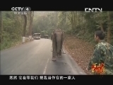 远方的家 百山百川行 第二十一集 我家住在热带雨林《远方的家》 20130520