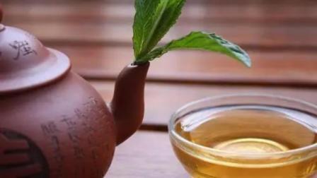 健康之路 肾结石喝茶叶好还是喝白开水好