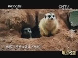 影视名堂 《影视名堂》 20150707 2014·电影回顾