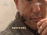 致富经 《致富经》 20150918 财富险中求·故事汇