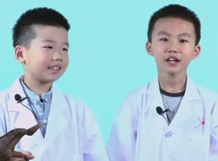 德拉少儿科学实验室 恐龙化石