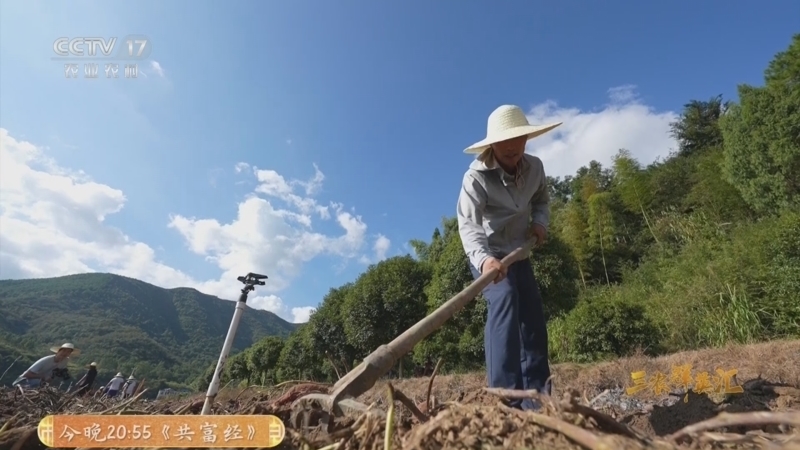 《三农群英汇》 20251028 丰收好把式——农场“变法”记