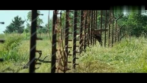 Taylor Swift 饥饿游戏 预告片-Taylor Swift (泰勒·斯威夫特)