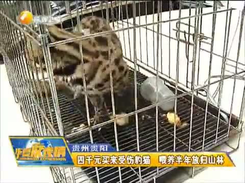 《华夏夜表情》 20150706