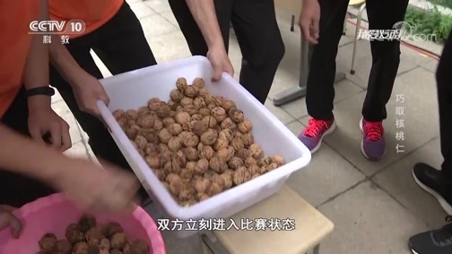 我爱发明 《我爱发明》 20190912 巧取核桃仁