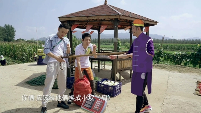 你好生活 第2季 《你好生活》第二季 20201209 一亩幸福（网络版）