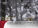 动物世界 《动物世界》 20170822 动物秘闻录（一）