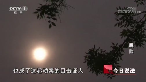 今日说法 《今日说法》 20200418 脱险