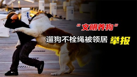 品人生百味第二季 纹身男遛狗不栓绳，被邻居举报暴跳如雷