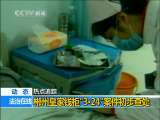法治在线 法治在线 2010-04-11