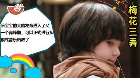 胎教音乐 第25周 梅花三弄