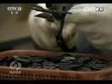 焦点访谈 《焦点访谈》 20160325 东莞再出发 动力何在