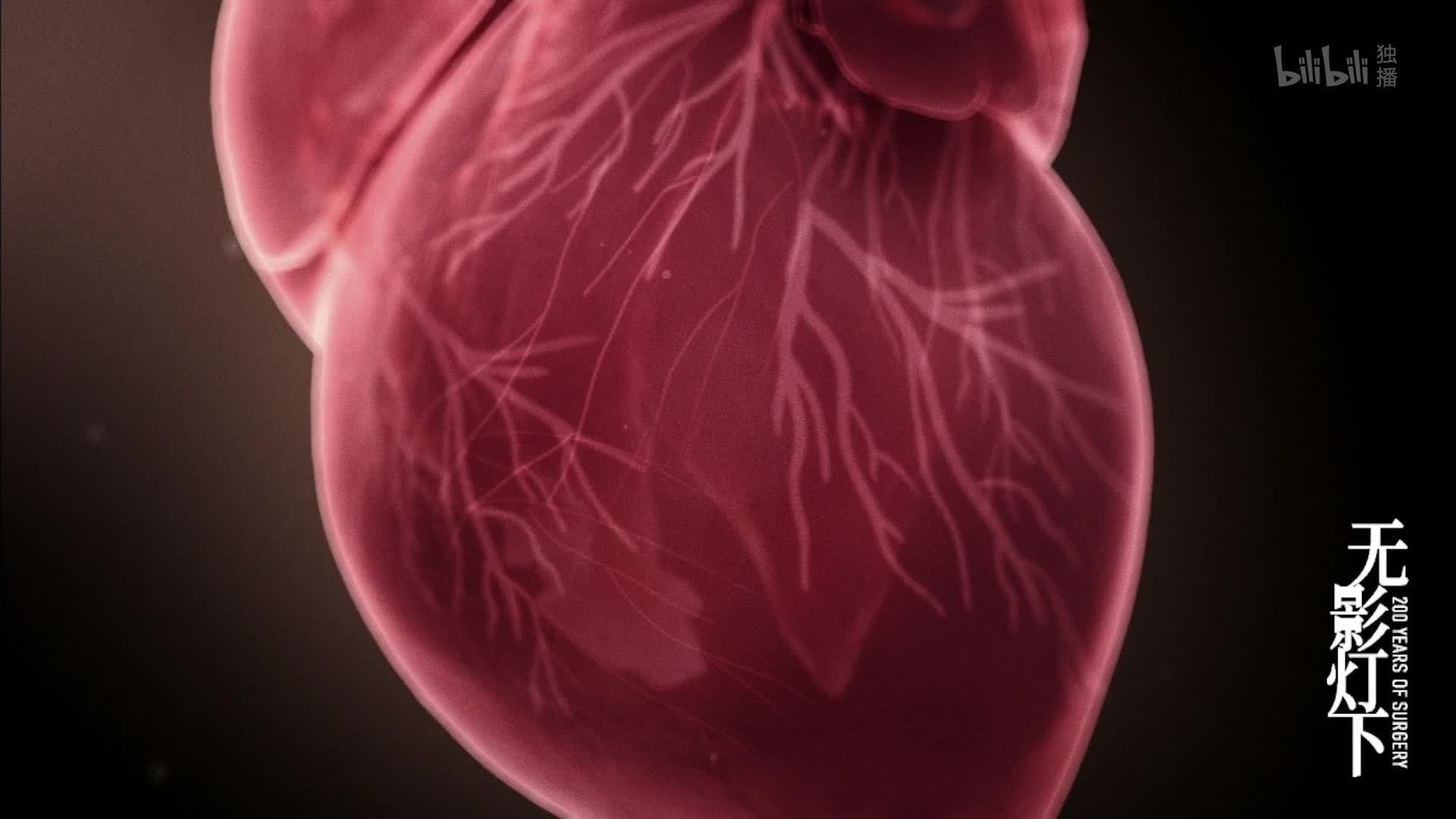 无影灯下 突破禁区 上