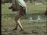 人与自然 《人与自然》 20131016 自然传奇 与狮共舞