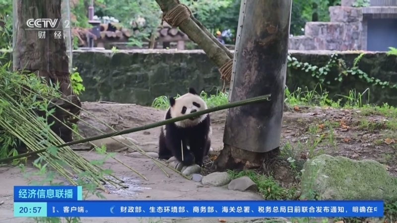 经济信息联播 《经济信息联播》 20240703