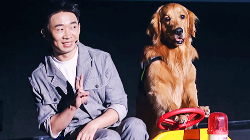 战斗吧萌犬 第2期：杨迪竟是娱乐圈隐藏驯犬高手