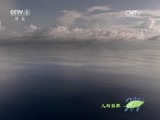 人与自然 《人与自然》 20150505 自然发现：巨龟之岛（一）上